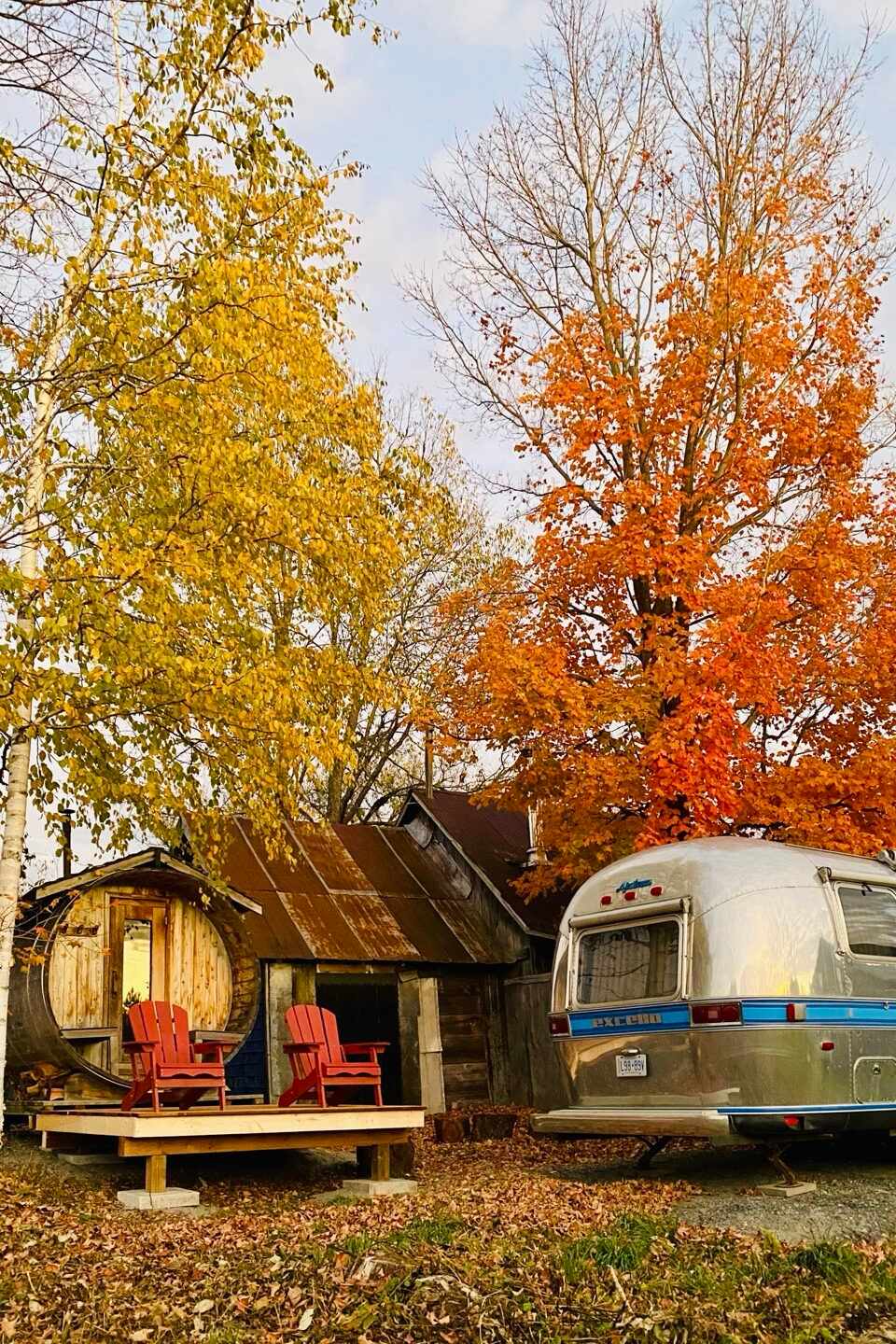 The Airstream and wood-fired sauna beneath blazing autumn trees, with red Muskoka chairs out front