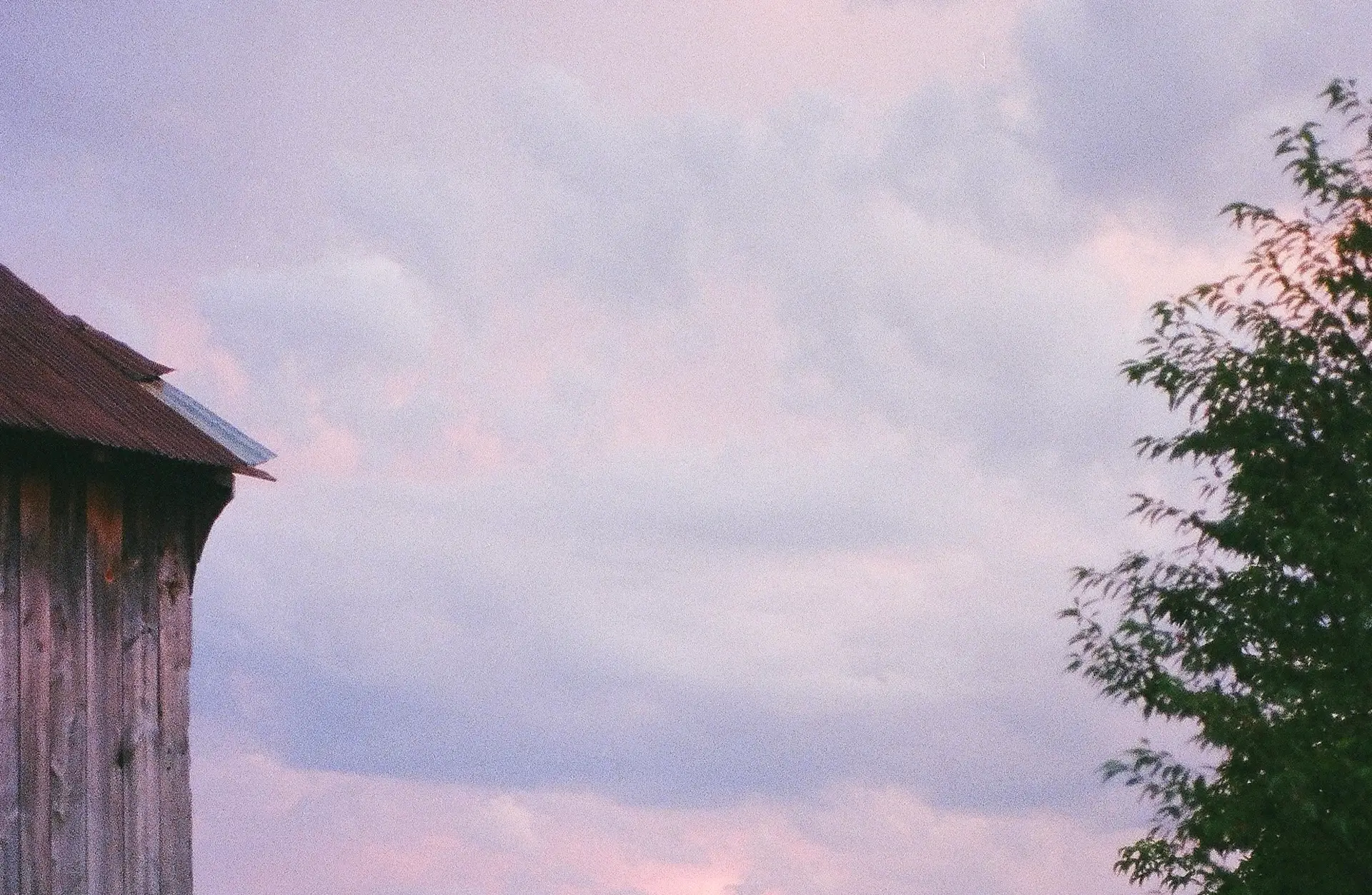 Pink and blue sunset clouds spread above the treeline